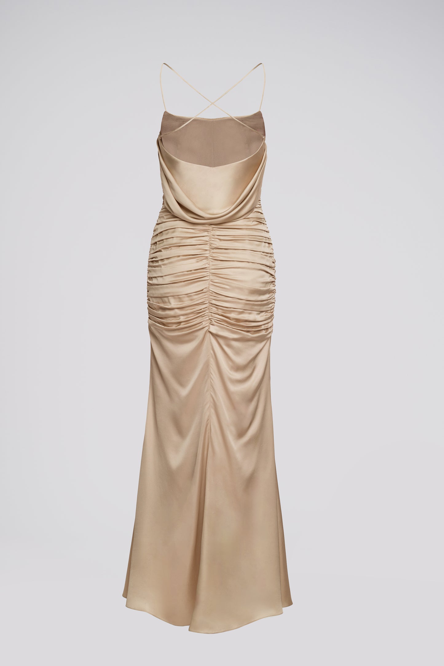 Petite Fit and Flare Maxi Dress in Beige