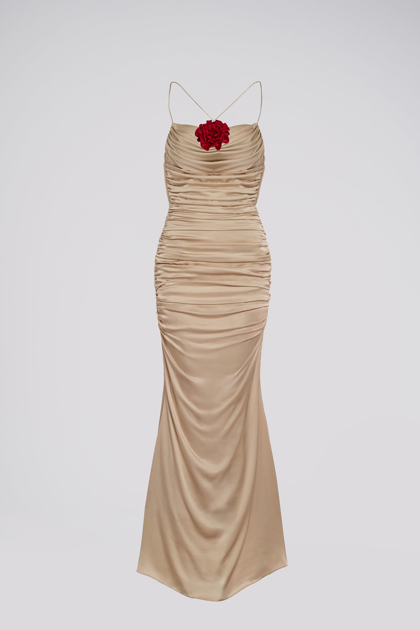 Petite Fit and Flare Maxi Dress in Beige