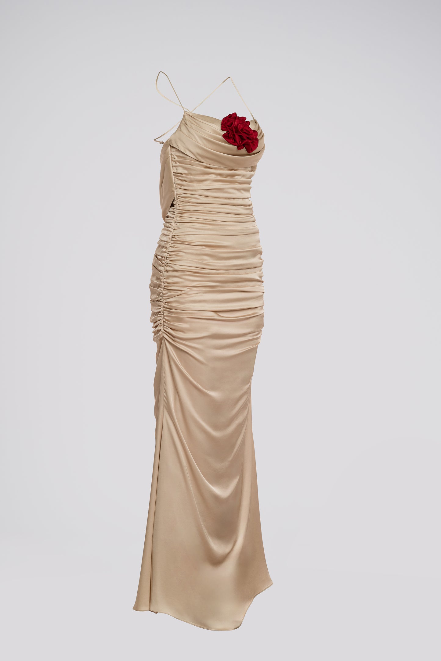 Petite Fit and Flare Maxi Dress in Beige