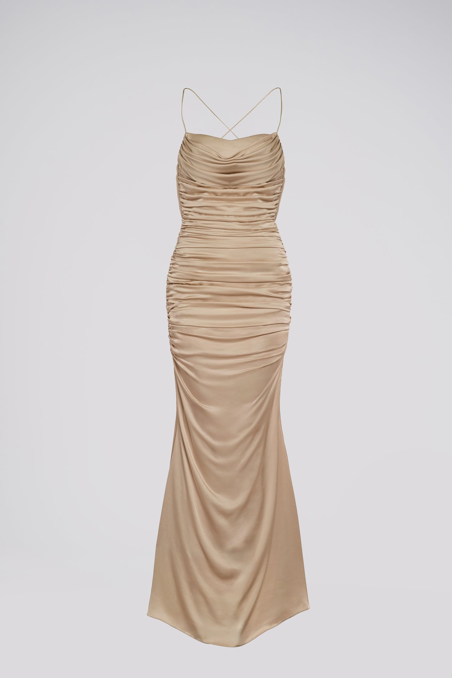 Petite Fit and Flare Maxi Dress in Beige